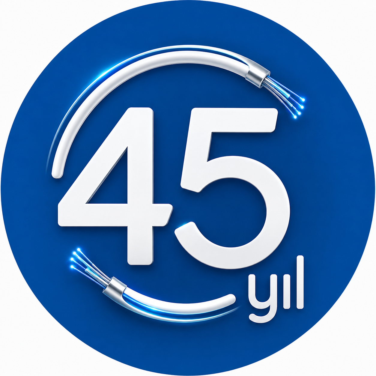 45. Yıl